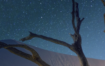 Captura de ecrã 2026-03-24, às 11.47.38